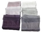 JACQUARD GREEK BORDER COTTON TOWEL  16X24 inch - Image 5